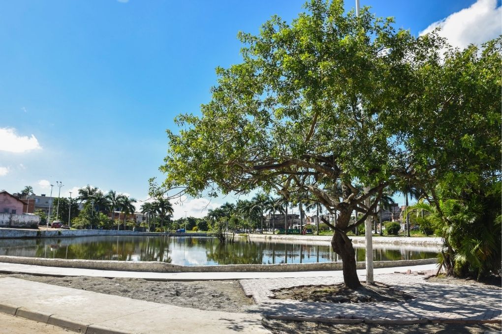 Revitalização da Lagoa do Quarentenário avança e reforça investimentos na Área Continental de São Vicente