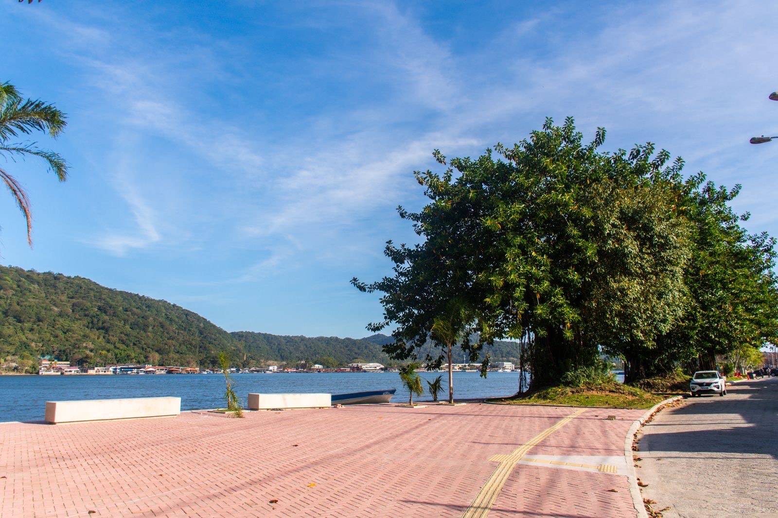 São Vicente celebra Dia da Árvore com ações de arborização e cuidado ambiental