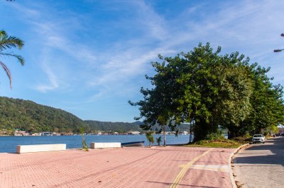 São Vicente celebra Dia da Árvore com ações de arborização e cuidado ambiental