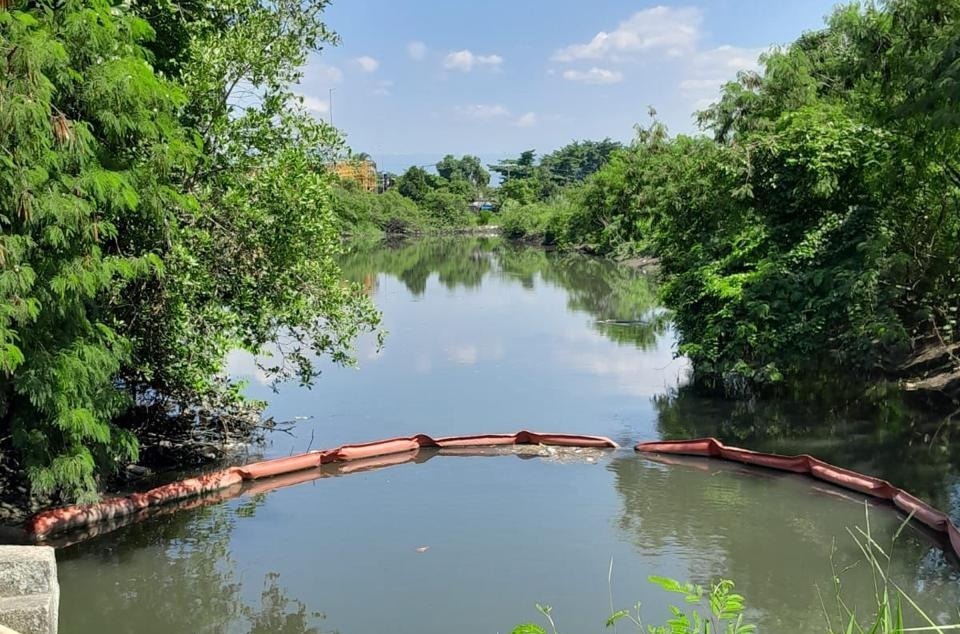 Crédito: Cooperativa Tortugas Ambiental