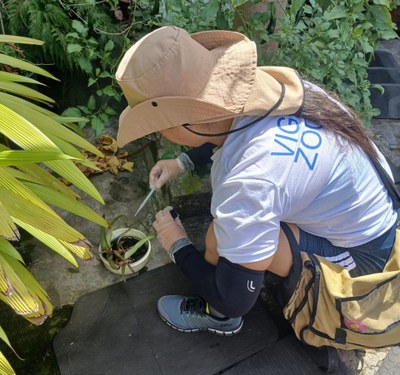 São Vicente elimina mais de 5 mil focos de Aedes Aegypti no mês de maio