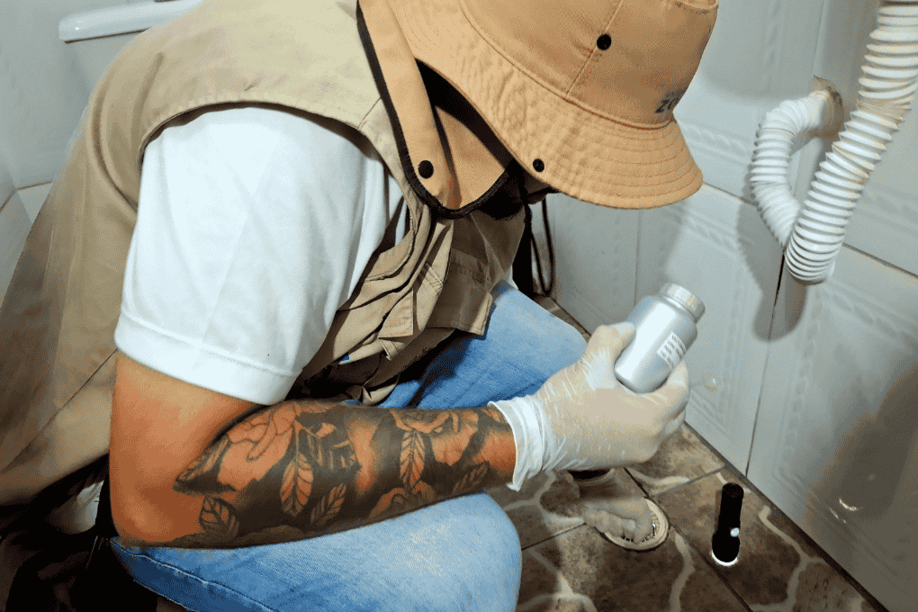 São Vicente elimina mais de 6 mil criadouros do Aedes aegypti em dezembro, com maior incidência nas residências