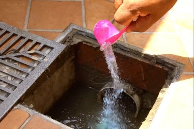 São Vicente elimina mais de 6 mil focos de Aedes aegypti em julho