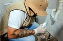 São Vicente elimina mais de 8 mil focos de dengue em abril, com maior incidência nas residências