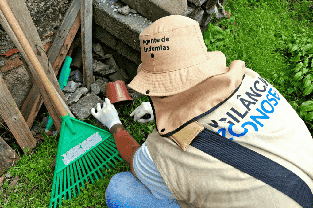 São Vicente elimina mais de 8 mil focos de dengue em novembro, com maior incidência nas residências