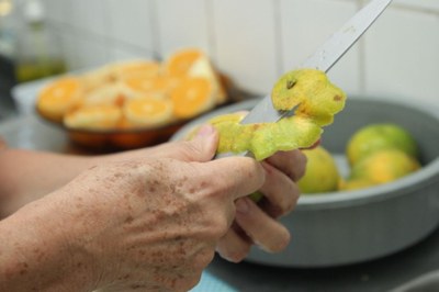 São Vicente lança 1ª edição do Concurso de Receitas das Auxiliares de Cozinha