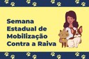 São Vicente lança programação para ‘'Semana Estadual de Mobilização Contra a Raiva'