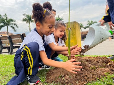 São Vicente planta o futuro e fortalece a arborização urbana em 2025
