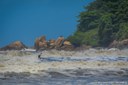 Surf Ambiental 2026 leva competição e ação ecológica ao Itararé