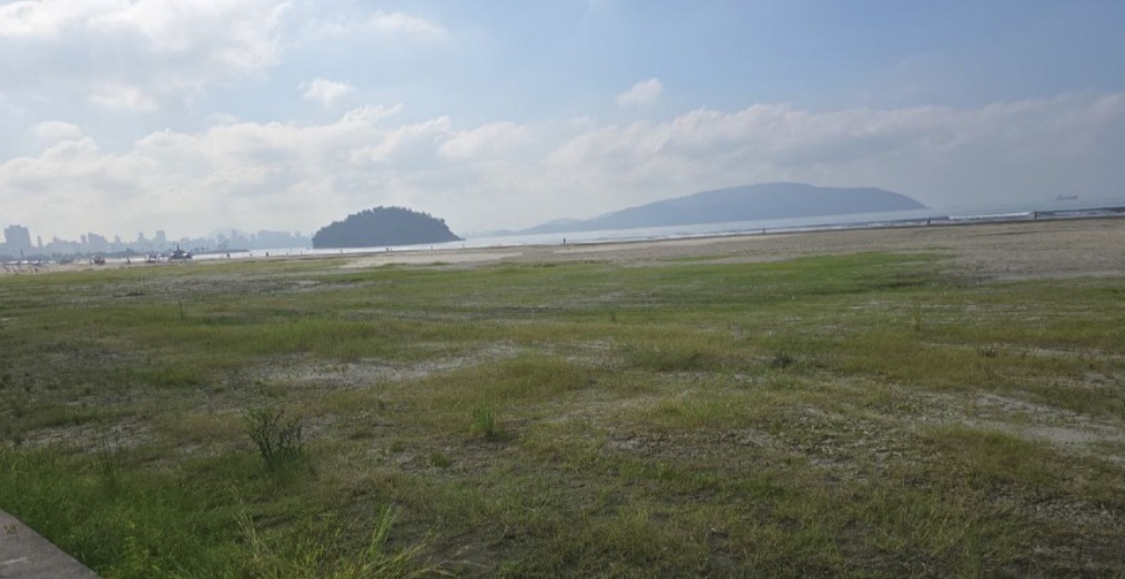 Vegetação costeira ajuda a proteger litoral em São Vicente