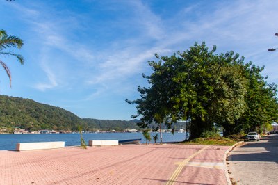 Verde que transforma: São Vicente investe em arborização para cuidar das pessoas e do futuro