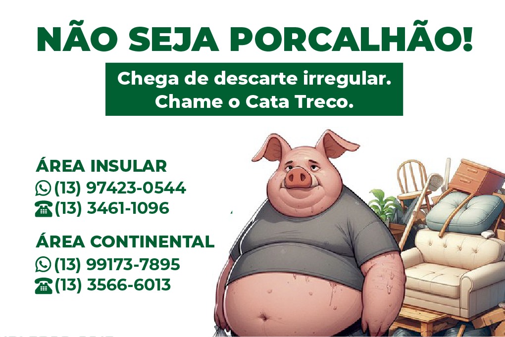 WhatsApp do Cata-Treco da Área Insular atende em novo contato