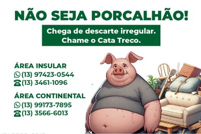 WhatsApp do Cata-Treco da Área Insular atende em novo contato