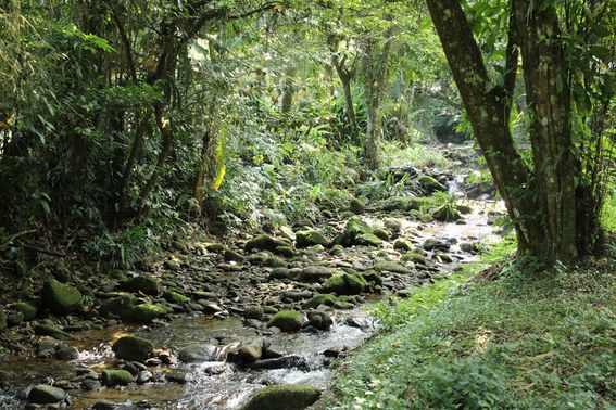Cachoeira Gleba FC 2.jpg