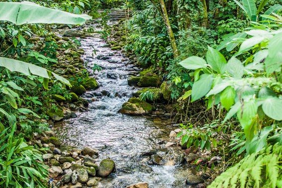 Cachoeira Gleba FC 6.jpg