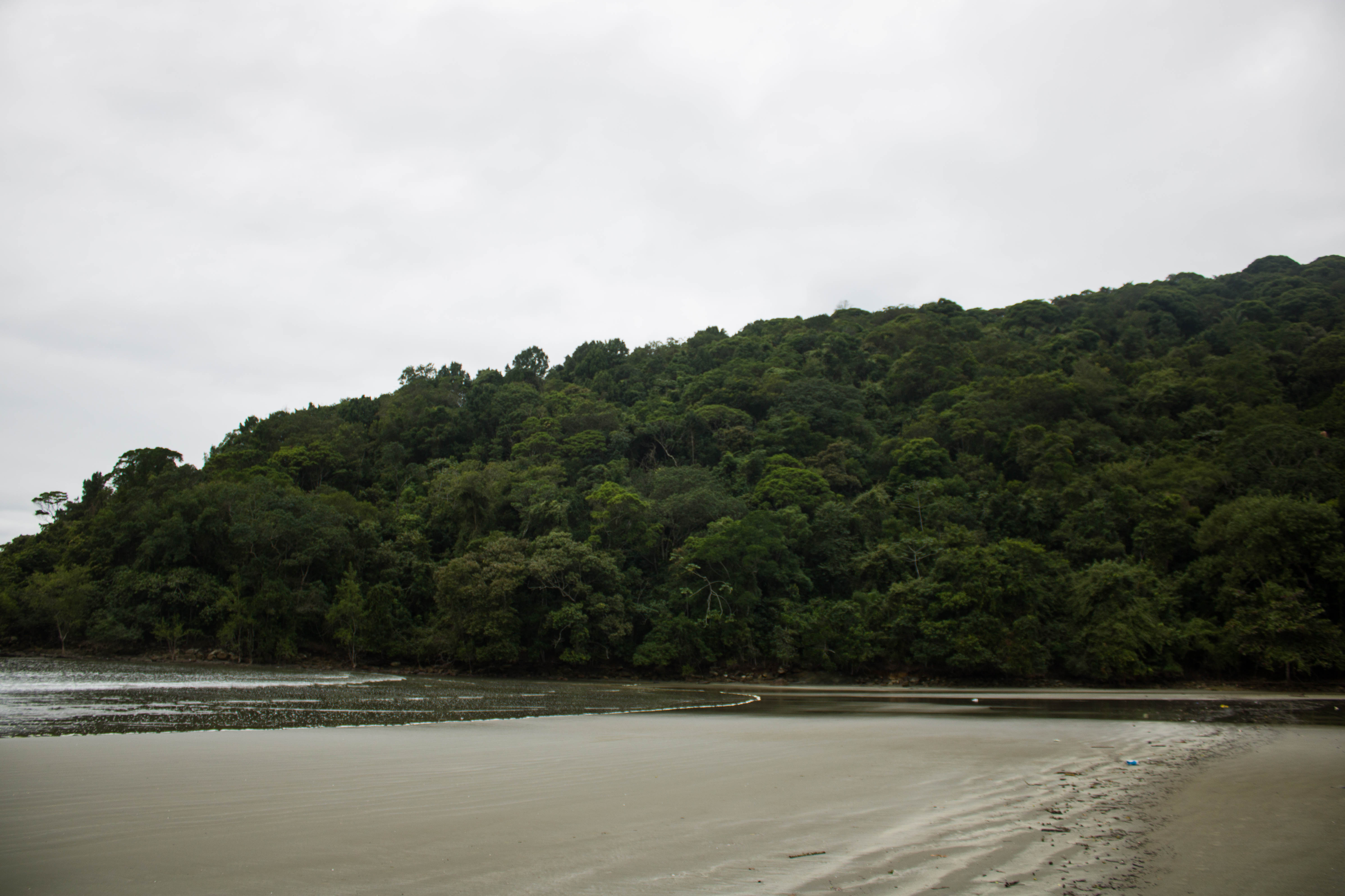 PARANAPUÃ-PRAIADASVACAS_Vista_Areia_ParqueXixová5