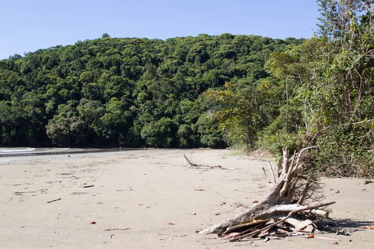 PARANAPUÃ-PRAIADASVACAS_Vista_AreiaParqueXixová7